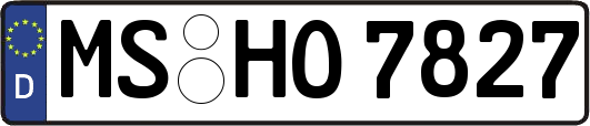 MS-HO7827