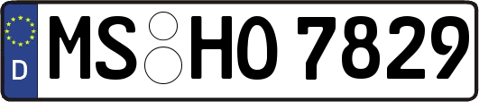 MS-HO7829
