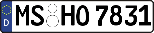 MS-HO7831