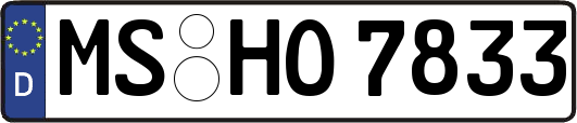 MS-HO7833