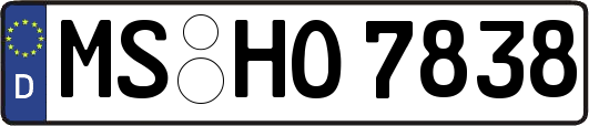 MS-HO7838