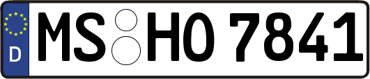 MS-HO7841