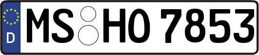 MS-HO7853
