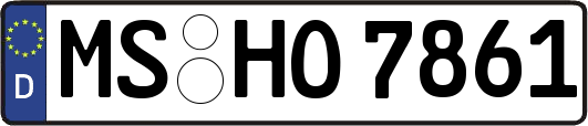 MS-HO7861