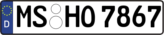 MS-HO7867
