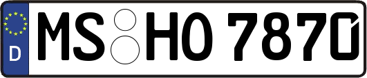 MS-HO7870