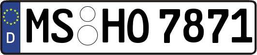 MS-HO7871