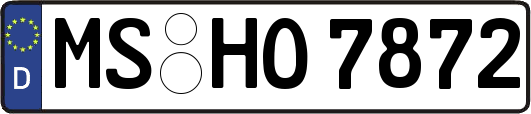 MS-HO7872