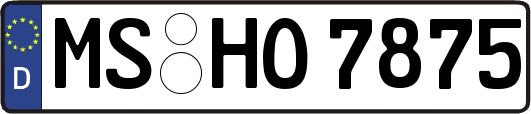MS-HO7875