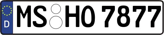 MS-HO7877
