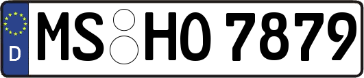 MS-HO7879