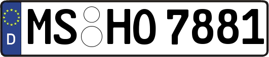 MS-HO7881