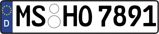 MS-HO7891