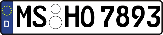 MS-HO7893
