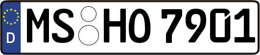 MS-HO7901