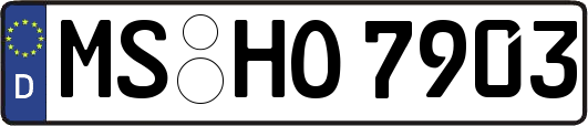 MS-HO7903