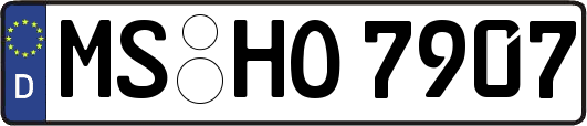 MS-HO7907