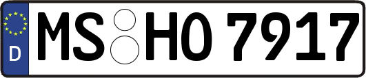 MS-HO7917