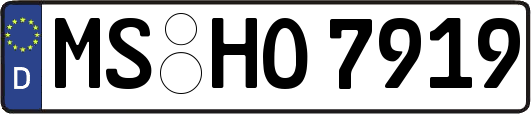 MS-HO7919