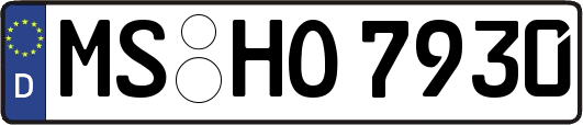 MS-HO7930