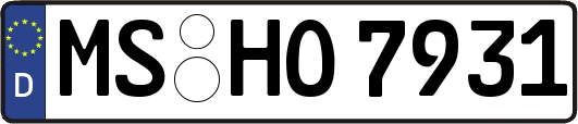 MS-HO7931