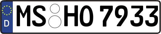 MS-HO7933