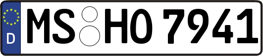 MS-HO7941