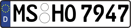 MS-HO7947