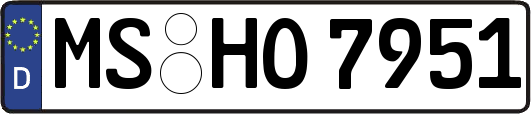 MS-HO7951