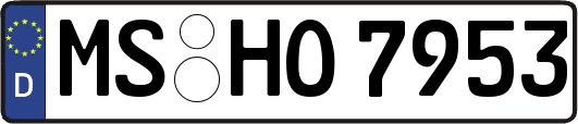 MS-HO7953