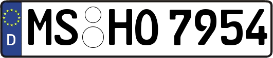 MS-HO7954