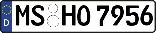 MS-HO7956