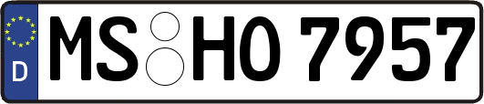 MS-HO7957