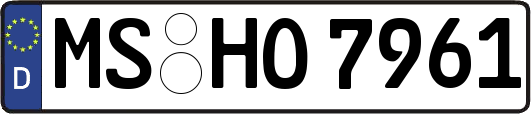 MS-HO7961