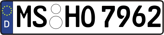 MS-HO7962