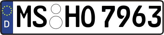 MS-HO7963