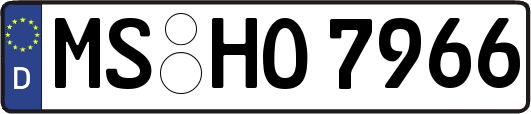 MS-HO7966
