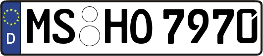 MS-HO7970