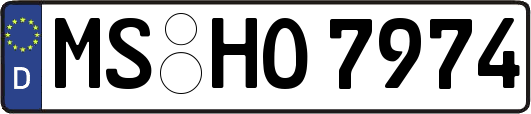 MS-HO7974
