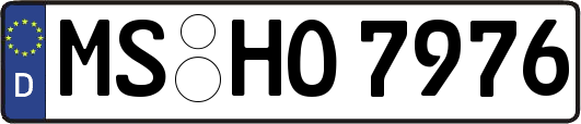 MS-HO7976