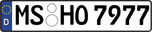 MS-HO7977