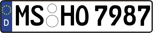 MS-HO7987