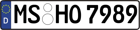 MS-HO7989