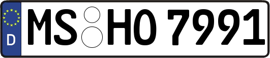 MS-HO7991