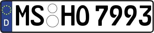 MS-HO7993