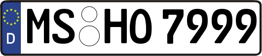 MS-HO7999