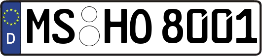 MS-HO8001