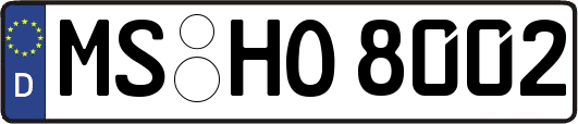MS-HO8002