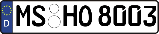MS-HO8003