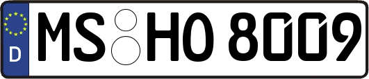 MS-HO8009
